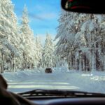 car on road near forest
