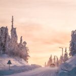 snow covered trees and houses during daytime