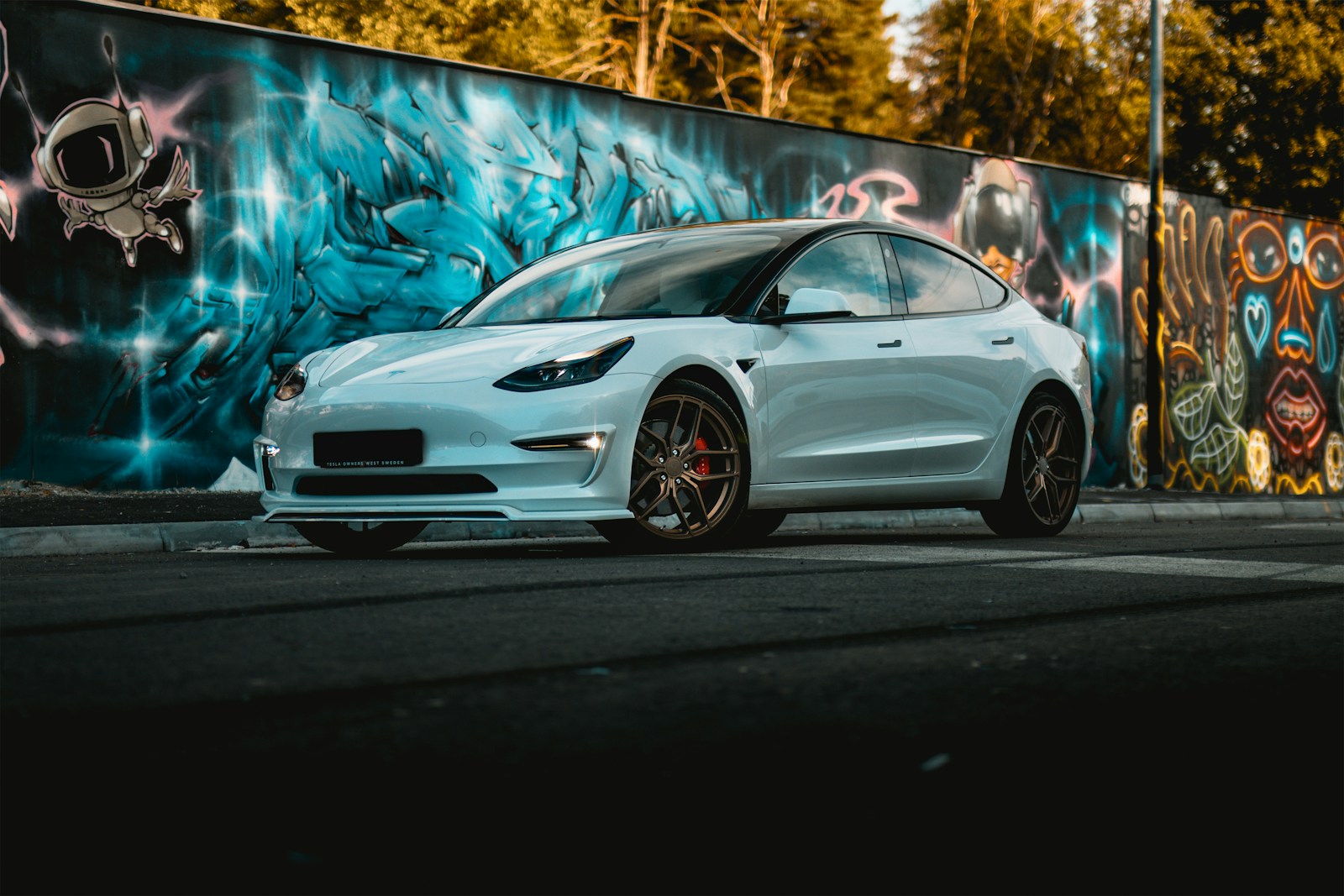 Best fully electric cars for low environmental impact