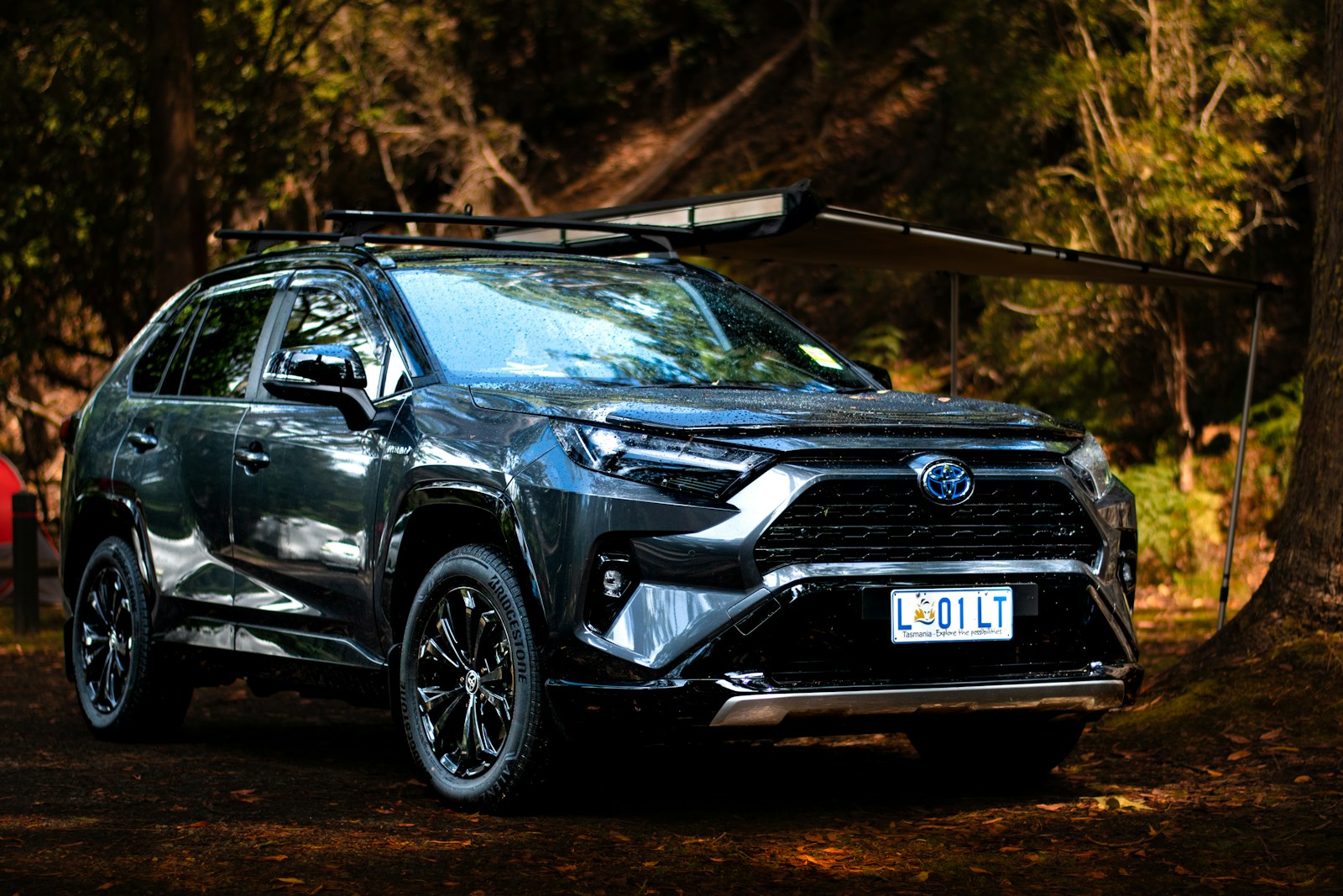 Most Popular Vehicles of 2026 and Gas vs Hybrid MPG Comparison